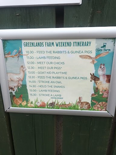 The PlayBarn 20250808 160007 007