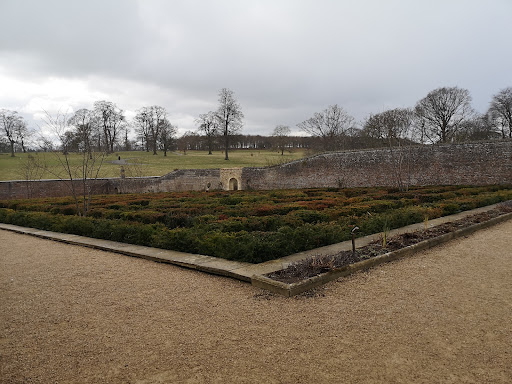 The Plotters  Forest at Raby Castle  Park and Gardens 20250808 154756 007