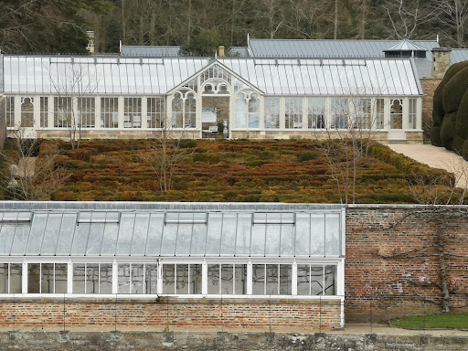 The Plotters  Forest at Raby Castle  Park and Gardens 20250808 154757 008