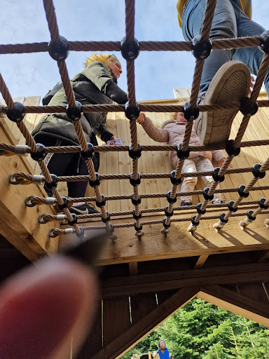 The Plotters  Forest at Raby Castle  Park and Gardens 20250808 154759 011