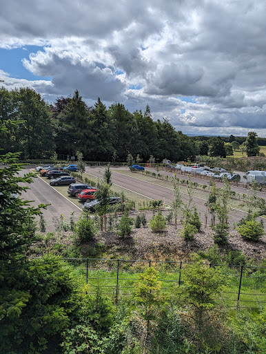 The Plotters  Forest at Raby Castle  Park and Gardens 20250808 154803 015