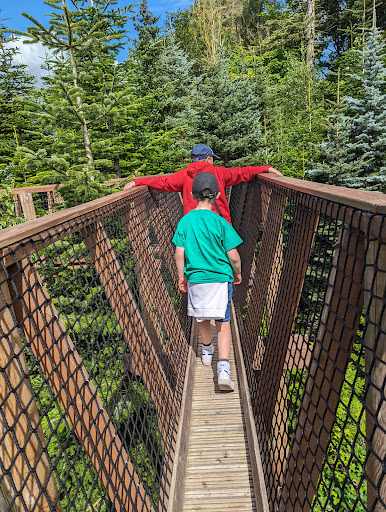 The Plotters  Forest at Raby Castle  Park and Gardens 20250808 154804 016