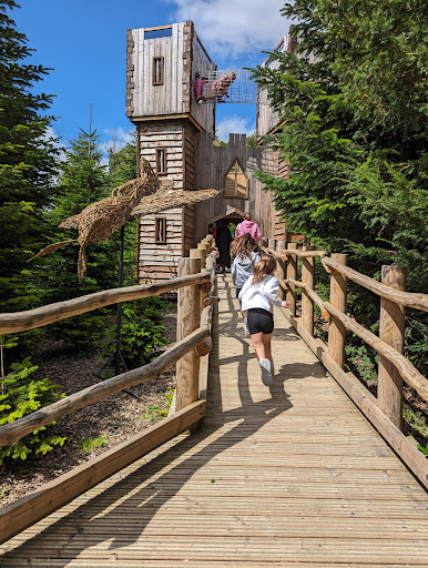 The Plotters  Forest at Raby Castle  Park and Gardens 20250808 154806 019