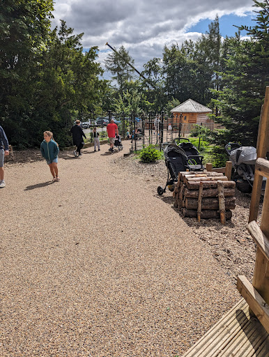 The Plotters  Forest at Raby Castle  Park and Gardens 20250808 154807 020