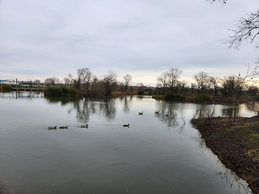 The Preserve at District56 20250727 002825 004