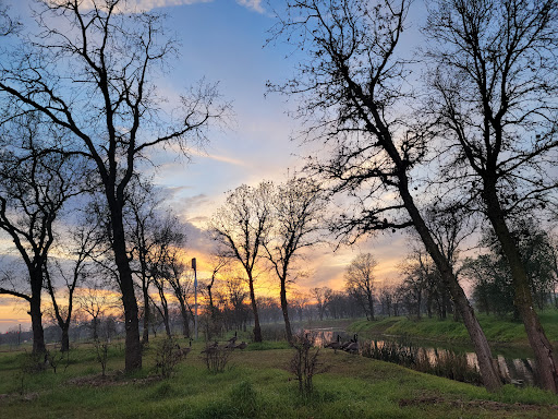 The Preserve at District56 20250727 002837 019