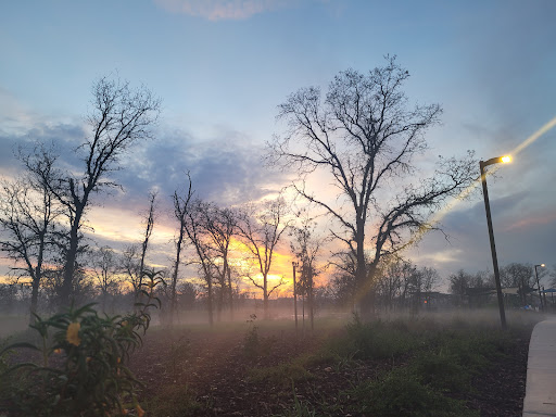 The Preserve at District56 20250727 002838 020