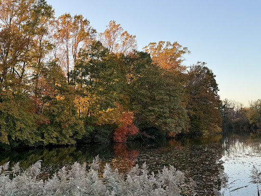 Thompson Park 20250727 032620 010
