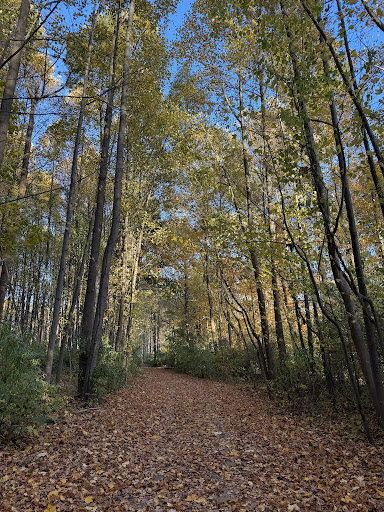 Thompson Park 20250727 032621 011
