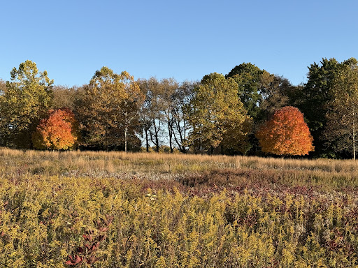 Thompson Park 20250727 032622 012