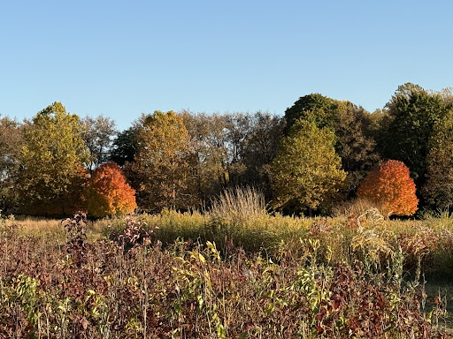 Thompson Park 20250727 032623 013