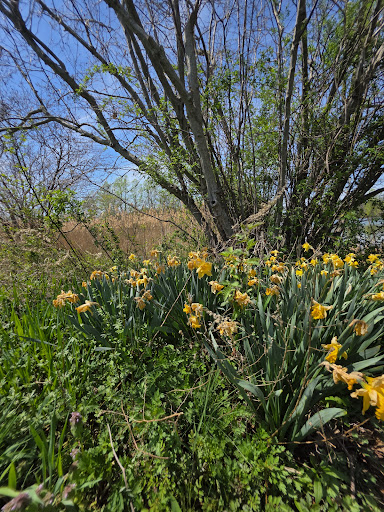 Thompson Park 20250727 032626 017