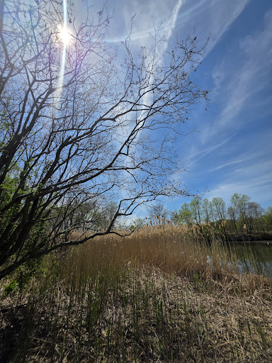 Thompson Park 20250727 032627 018