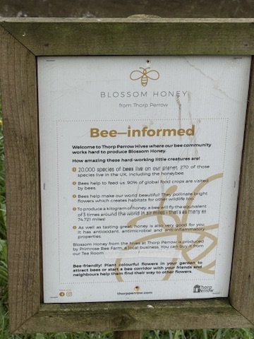 Thorp Perrow   Arboretum and Bird of Prey   Mammal Centre 20250808 155834 007