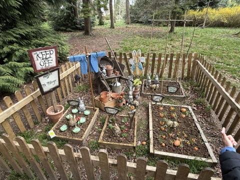 Thorp Perrow   Arboretum and Bird of Prey   Mammal Centre 20250808 155836 010