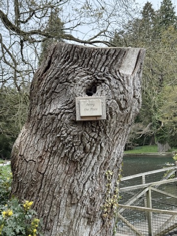 Thorp Perrow   Arboretum and Bird of Prey   Mammal Centre 20250808 155841 016