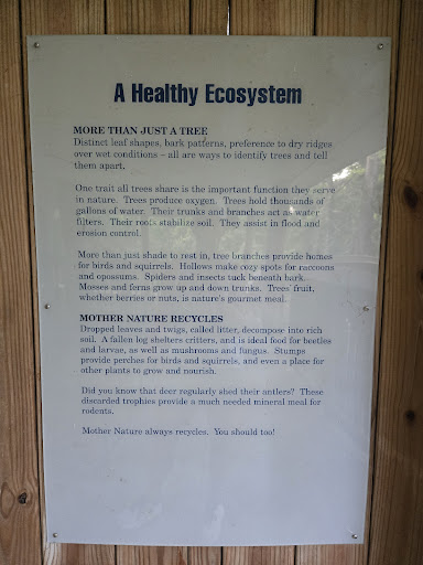 Tickfaw State Park 20250726 182637 008