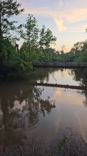 Tickfaw State Park 20250726 182638 010