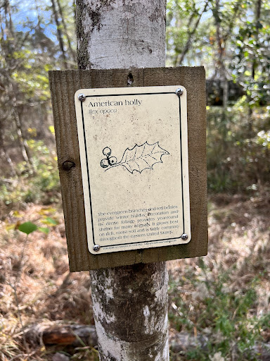 Tickfaw State Park 20250726 182641 014