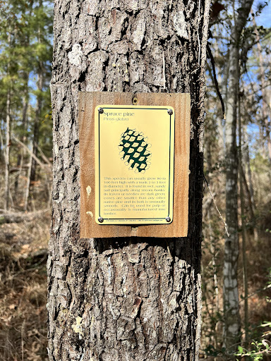 Tickfaw State Park 20250726 182642 015