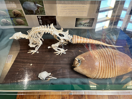 Tickfaw State Park 20250726 182646 020