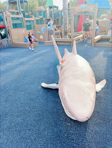 Tiger Shark Cove Park 20250726 165342 005