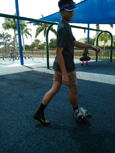 Tiger Shark Cove Park 20250726 165348 012