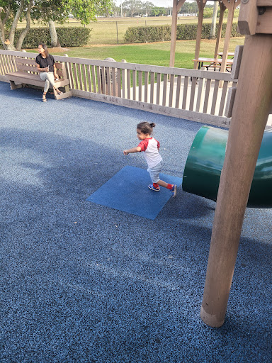 Tiger Shark Cove Park 20250726 165350 015