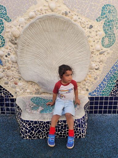 Tiger Shark Cove Park 20250726 165352 018