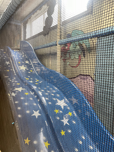 Tiny Tim s Purple Planet Indoor Soft Play 20250808 175641 001