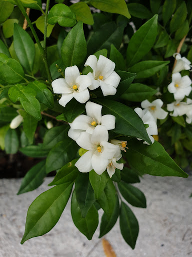 Tiong Bahru Park Playground 20250821 230557 009