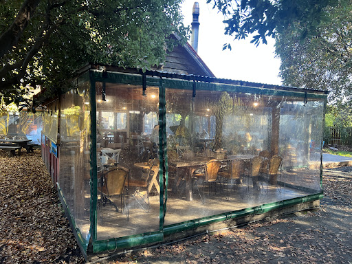 Toad Hall 20250818 170308 007