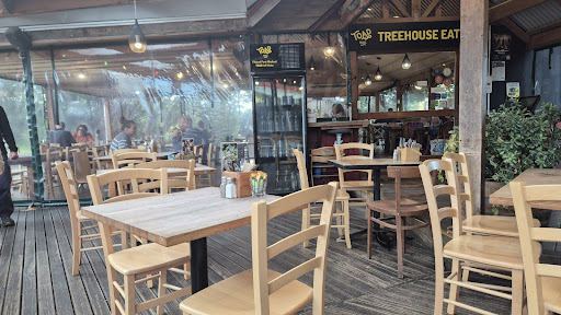 Toad Hall 20250818 170314 013