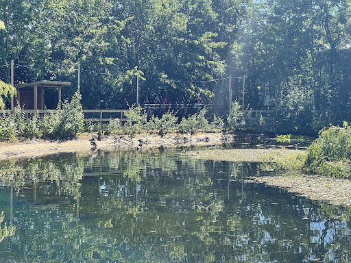 Tong Garden Centre 20250808 161222 013