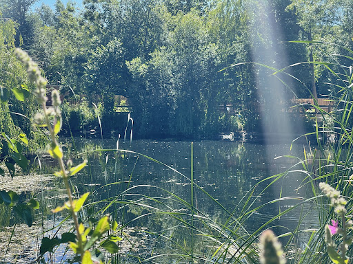 Tong Garden Centre 20250808 161223 014