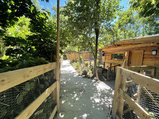 Tong Garden Centre 20250808 161224 016