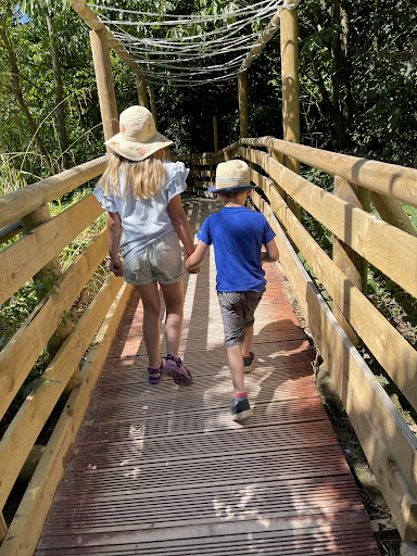 Tong Garden Centre 20250808 161228 020