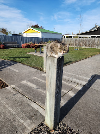 Torlesse Park 20250818 171255 001