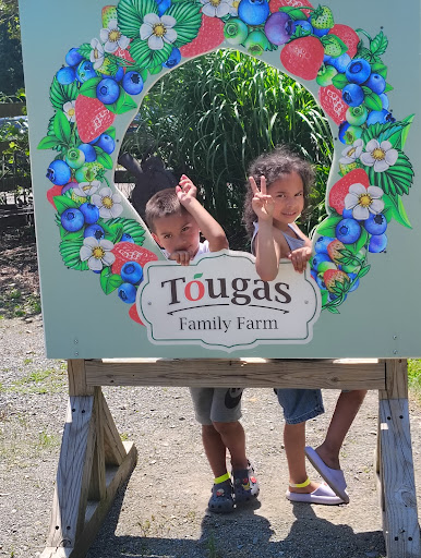 Tougas Family Farm 20250727 061621 001