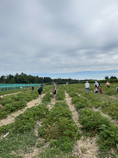 Tougas Family Farm 20250727 061625 006