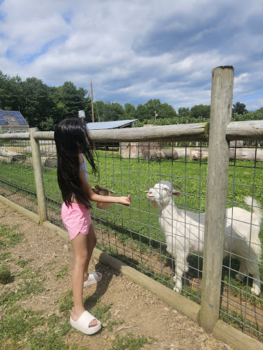 Tougas Family Farm 20250727 061630 012