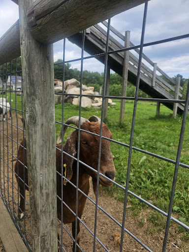 Tougas Family Farm 20250727 061631 013