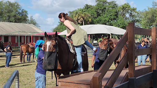 Tradewinds Park Stables 20250726 164924 001