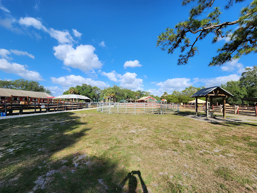 Tradewinds Park Stables 20250726 164926 004