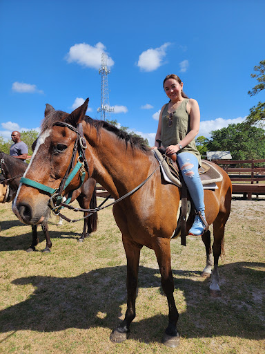 Tradewinds Park Stables 20250726 164929 008