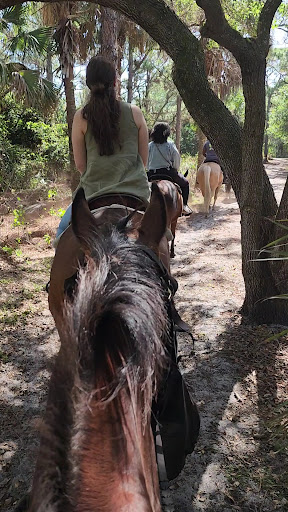 Tradewinds Park Stables 20250726 164933 012