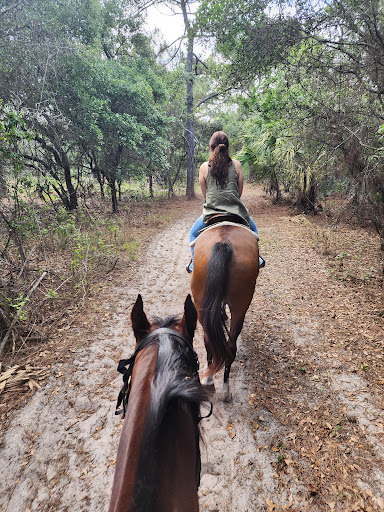 Tradewinds Park Stables 20250726 164934 014