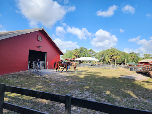 Tradewinds Park Stables 20250726 164936 016