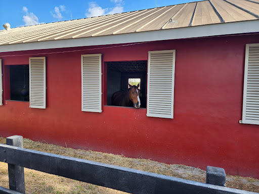 Tradewinds Park Stables 20250726 164938 018