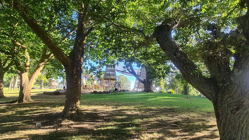 Tui Glen Playground 20250818 162737 008